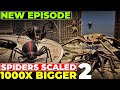 What If Spiders Were Scaled 1000 Times Bigger 2 Imaginary Comparison Spiders 3D