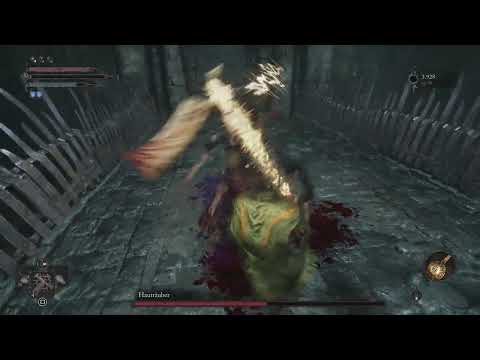 Lords of the Fallen - Hauträuber