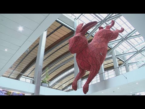 What's changing at Sacramento International Airport this year
