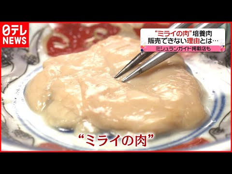 微生物による肉の代替品は私たちの森林を救うのでしょうか?