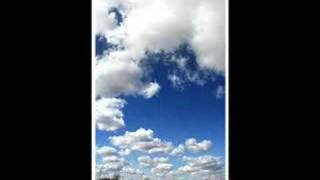 Strays don\'t sleep- for blue skies