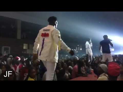 JIZZLE NEXT BIG THING NOBLE PAFORMANCE