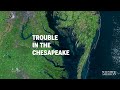 Will The Chesapeake Become A Dead Zone