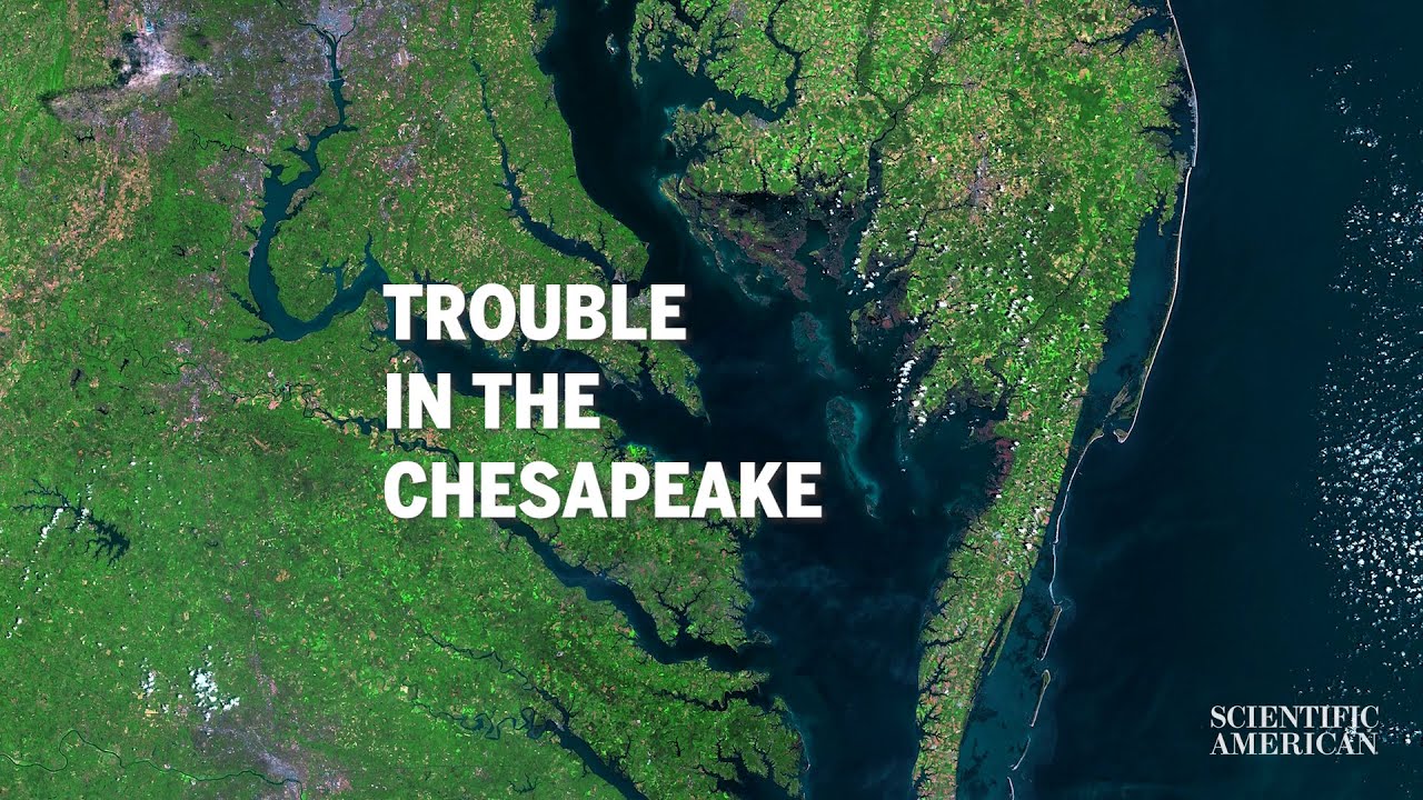 Will the Chesapeake Become a Dead Zone?