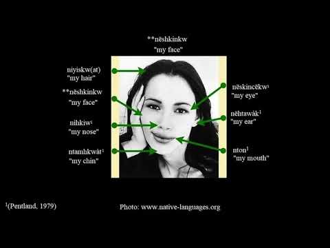 Nanticoke Language Lessons - The Body