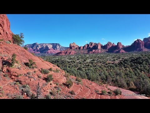 DronesiViews LLC video.