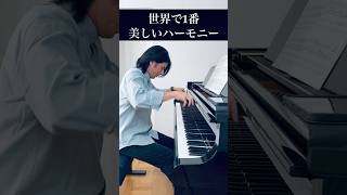 Download lagu この曲が聴ける時代に生まれられて本当によかった…！！　#shorts #ショート　#rachmaninoff #ラフマニノフ pianist #ピアノ #クラシック #piano #ピアニスト mp3