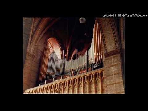 Marco bij de Vaate: The Live Recordings - Marcel Dupré: Symphonie-Passion op.23 II.Nativité