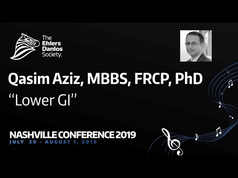 Lower GI - Professor Qasim Aziz