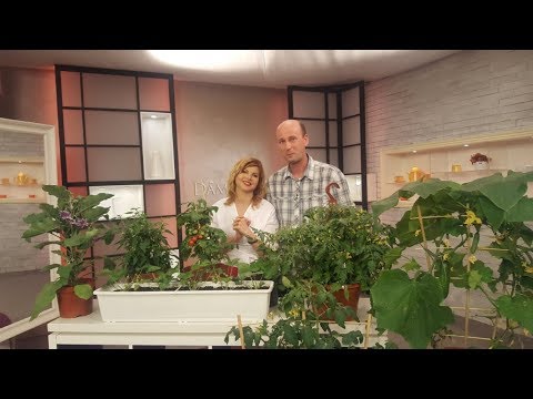 , title : 'Vypestujte si aj vy zeleninu priamo na vašom balkóne! | Záhradníctvo EMMA s.r.o. | Dámsky klub RTVS'