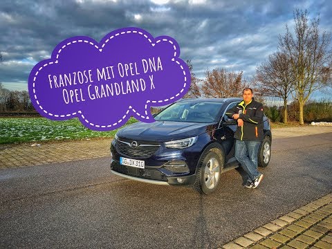 Da steckt doch Opel-DNA drinnen | Opel Grandland X im Familientest