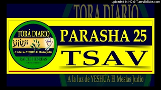Parasha 25 Tsav, 1 aliya - Aviva el fuego del don de Elohim que hay en ti