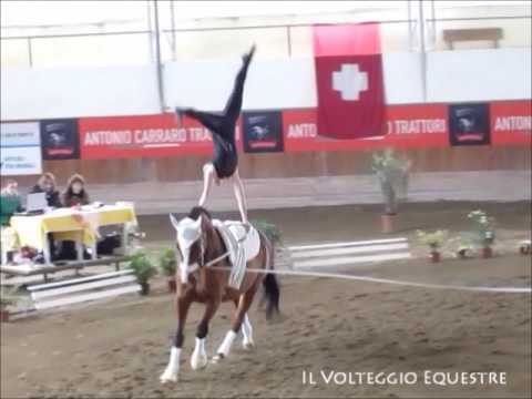 CVI Portogruaro 2016 - Volteggio - Ind 2* s F - 2° Heike Hulla