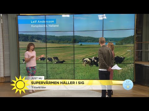 Rekordvarma maj – här är tittarnas vackraste bilder - Nyhetsmorgon (TV4)