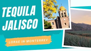 🌵 Tequila, Jalisco: Agave Fields, History &amp;amp; the Birthplace of Tequila 🇲🇽