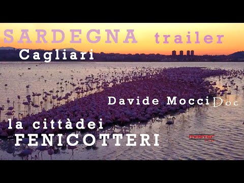 TRAILER - CAGLIARI LA CITTA' DEI FENICOTTERI di Davide Mocci DOC RAI GEO - SARDEGNA NATURA