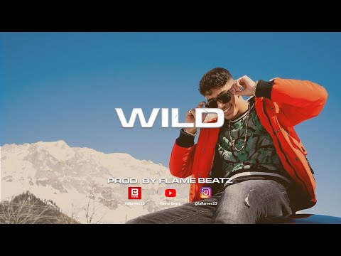 [FREE] Mero x Dardan x Azet x Gzuz Type Beat - "Wild" Dark Trap Type Beat