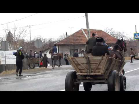 GIURGENI 50 BOBOTEAZA 2012 PART 7 (HD)