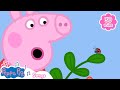 Bing Bong Garden More Peppa Pig Kids Songs Baby Songs Peppa Pig Music Official