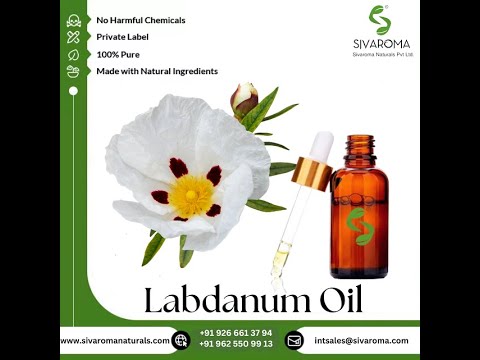 Labdanum Essential Oil
