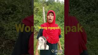 Download lagu wong Tegal ngapak mp3 Download lagu wong Tegal ngapak mp3