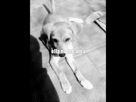 ella no me ama 😥