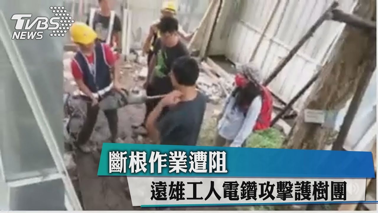 斷根作業遭阻 遠雄工人電鑽攻擊護樹團
