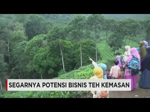 Patogen perempuan rubah perak Tetes torus di mana untuk membeli di Omsk