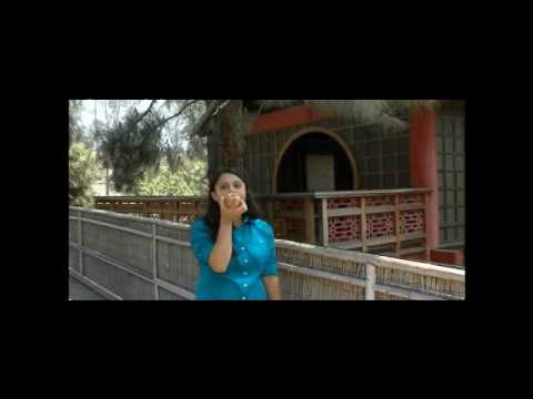 Azmina, Khushboo, Anisha Hindi-Urdu Project 2010