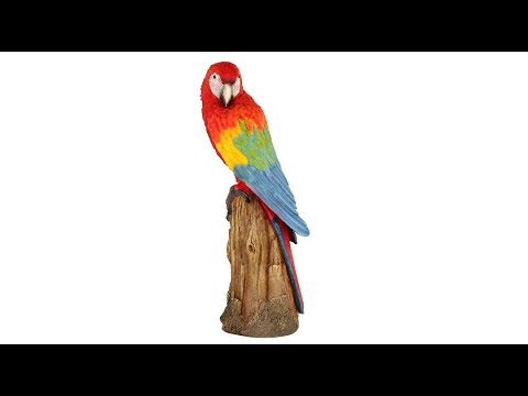 Big Macaw Parrot Poly Resin Garden Statue Figure For Living Room