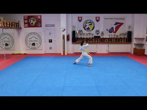 kata 05 - Taikyoku Kake Uke Iči