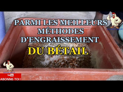 , title : 'PARMI LES MEILLEURS MÉTHODES D'ENGRAISSEMENT DU BÉTAIL 2'