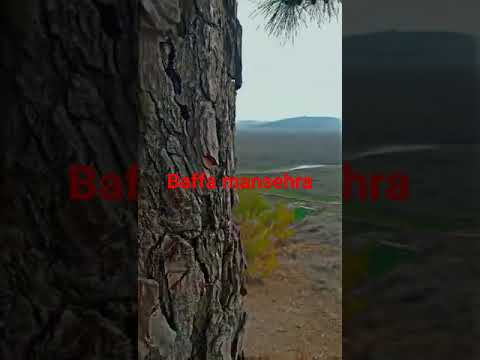 #shortvideo #baffa #mansehra #naturally #beautifullvalley #youtubeshorts #snowfall #season #kpk