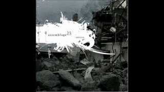 Assemblage 23 - Ground (Acoustic Remix) (lyrics)