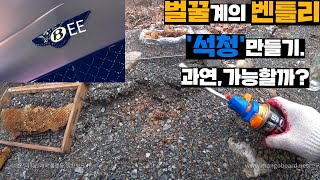 벌꿀계의 벤틀리 석청! 인위적으로 만들어보기 1탄