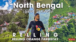 Untouched North Bengal: Offbeat Relling Orange Farmstay 🌿 #travelvlog