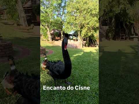 Cidades Segunda Parte Selbach 106/497 #riograndedosul #cidadesbrasileiras #cidades #497