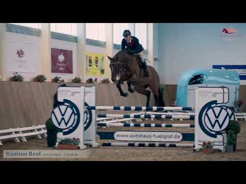 Kamino Real v. Karajan x Check In