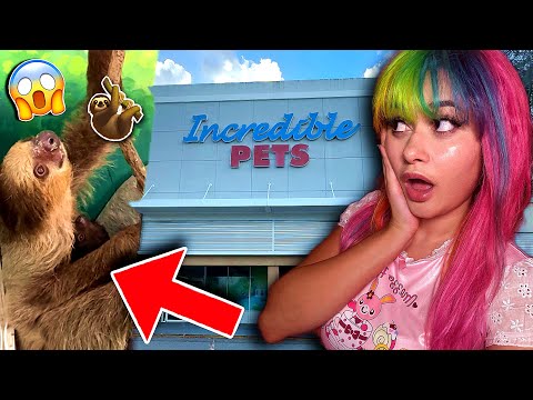 Going to the World's MOST INSANE EXOTIC PET STORE... They had ANIMALS You WOULDNT BELIEVE.. 🤯