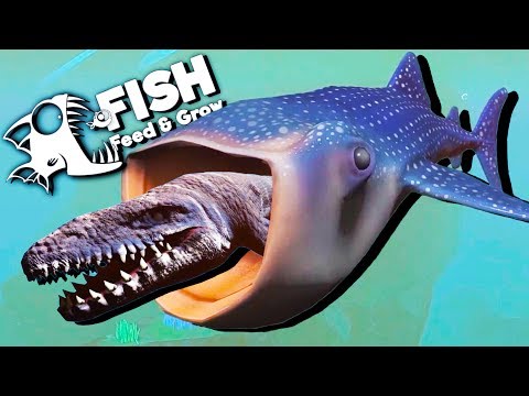 World's LARGEST Whale Shark Eats Everything! - Huge Fish! - Feed and Grow Fish Gameplay - New Update