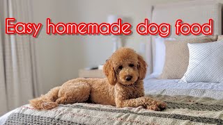Easy Homemade Dog Food | Mini Goldendoodle