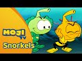 ALLSTAR S REGGAEBAND SPOOK GEZOCHT SNORKELS Nederlandse Kinderseries MojiTV