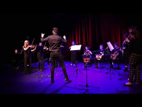 P. Heidrich Happy Birthday Variations (Ungarischen Stil) LPSM Melos Ensemble