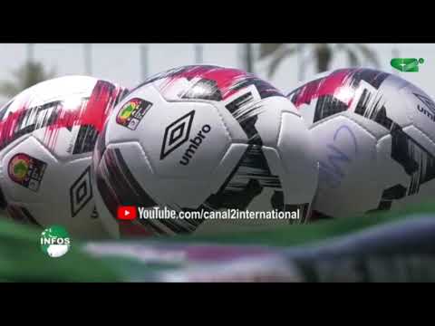 LES LIONS INDOMPTABLES : STAGE EN AUTRICHE VU PAR  LES FANS (Jt, 03/06/2021)