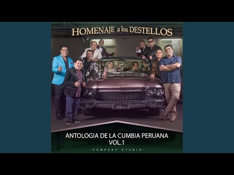 Mix Instrumental los Destellos: Caminito Serrano / Amor Andino / Patricia / El Avispón / El...