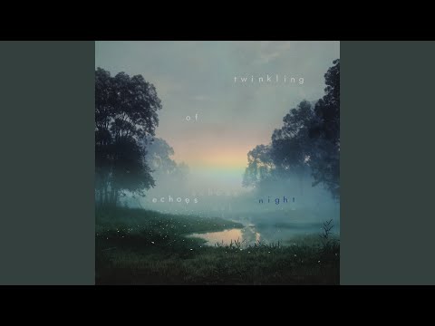 Twinkling Echoes of Night