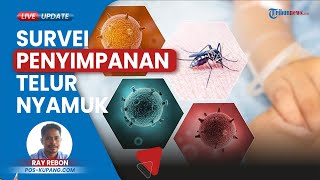 Kelurahan Oebufu-Kupang Lakukan Survey Lokasi Penyimpanan Telur Nyamuk Wolbachia untuk Kendalikan DB