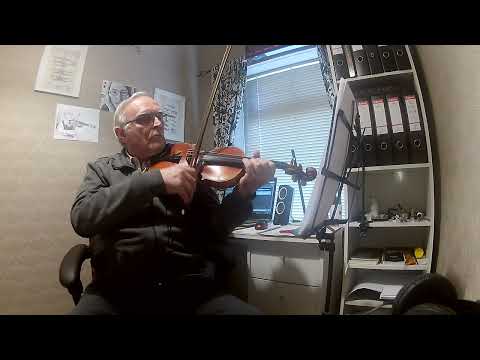 Inevitable Conflict  Genshin Impact  Chasm Nail Battle Theme By: HOYO MiX  Transcript: Kelvin Wu