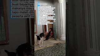 Download lagu Curhat part 3 .. Syukur udh lega #puppy #dogs #puppies #hamil #bumil #bpjs #lahiran mp3 Download lagu Curhat part 3 .. Syukur udh lega #puppy #dogs #puppies #hamil #bumil #bpjs #lahiran mp3