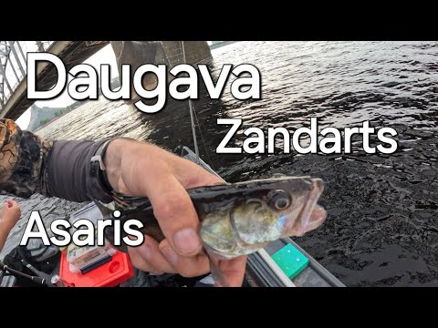 Daugava, Rīgas centrs. Zandarti, asari.